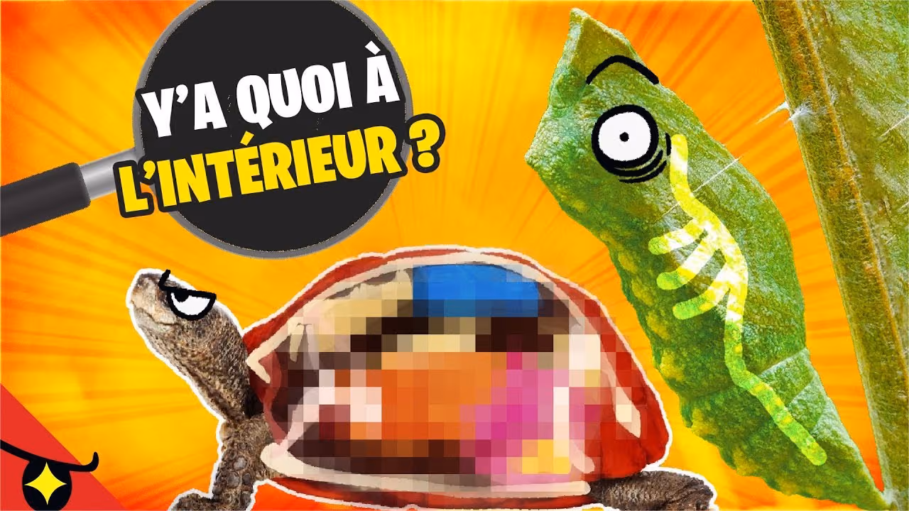 Y’a quoi à l’INTÉRIEUR de ces 8 ANIMAUX ?