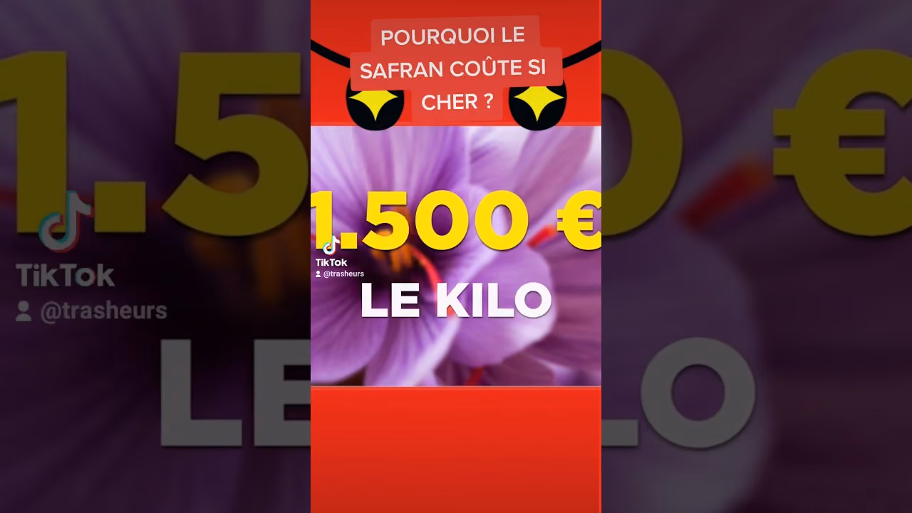 Pourquoi le safran coûte si cher ?
