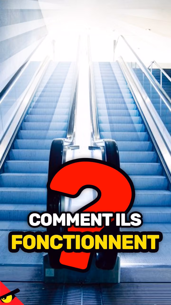 Comment marche un ESCALATOR ?