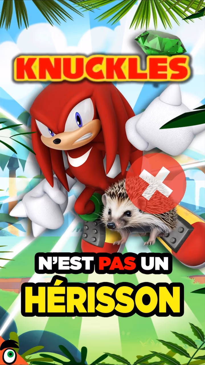 KNUCKLES n'est PAS un HÉRISSON !