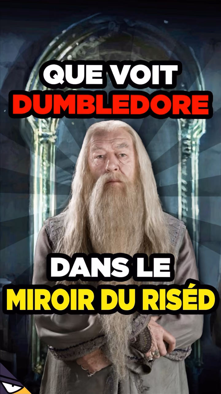 Que voit DUMBLEDORE dans le miroir du RISED ?