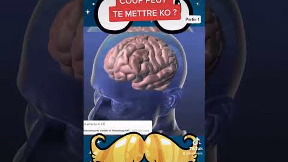 Pourquoi un seul coup peut te mettre ko ? (Partie 1)