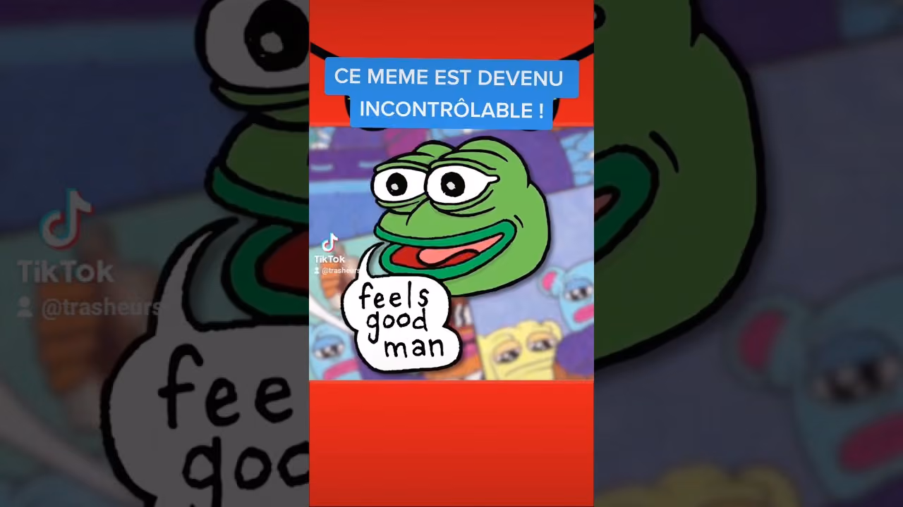 Ce meme est devenu incontrôlable !