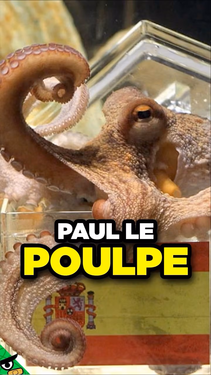 Le Poulpe Meilleur en Pronos que Toi !