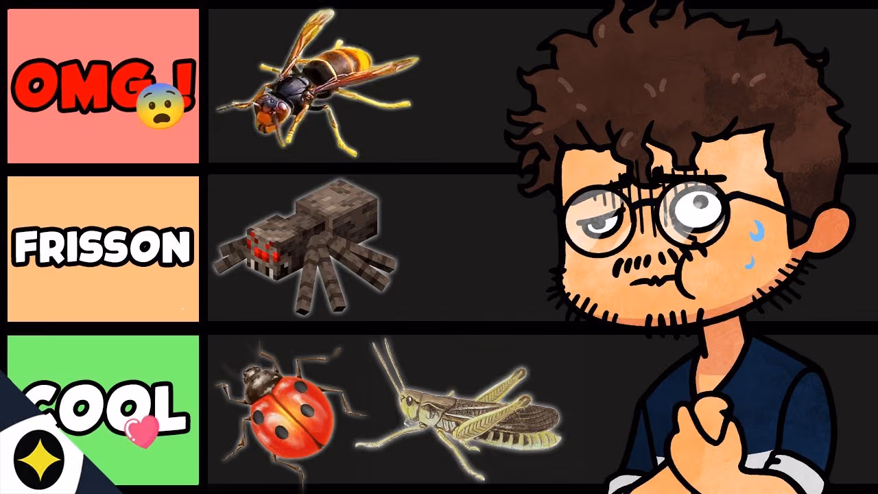 QUEL est l'INSECTE le plus MIGNON (tier list)