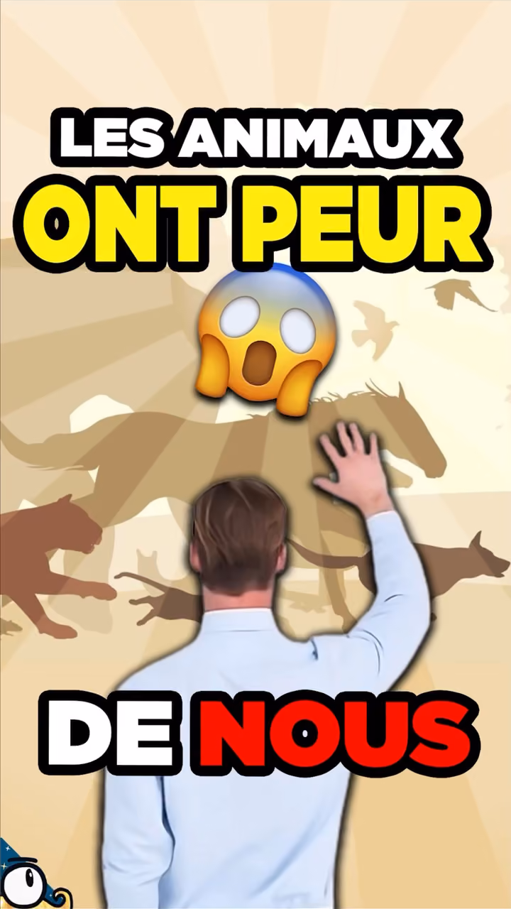Pourquoi les ANIMAUX ont PEUR de nous ?