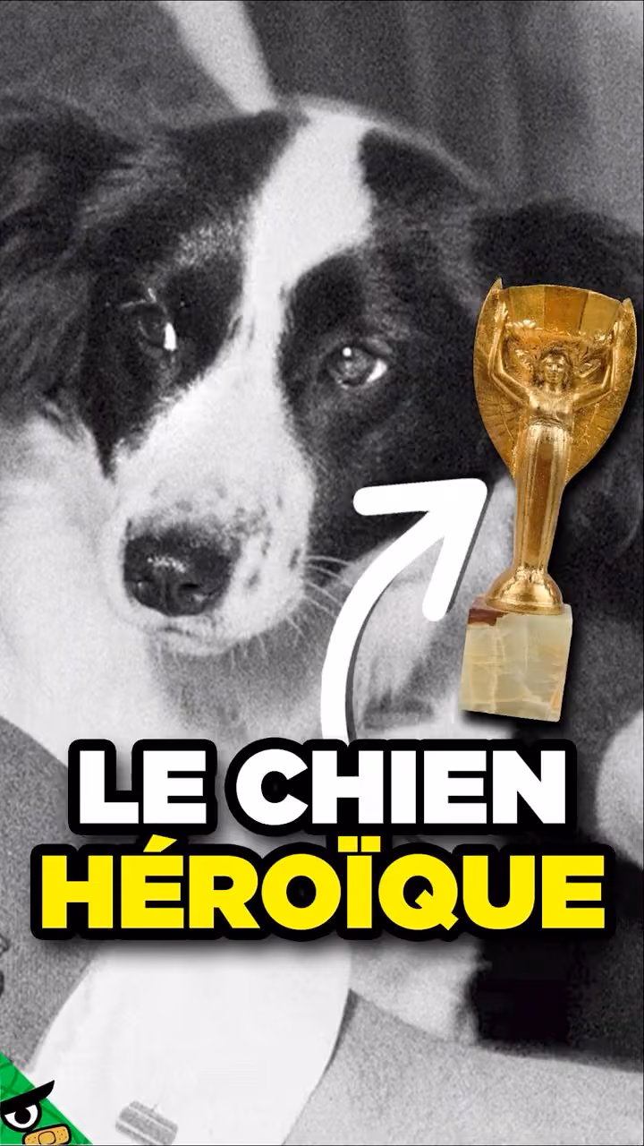 Le Chien qui a Sauvé la Coupe du Monde