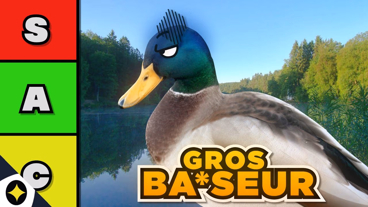 QUEL ANIMAL A LE PLUS GROS ____(Tier List Animaux)