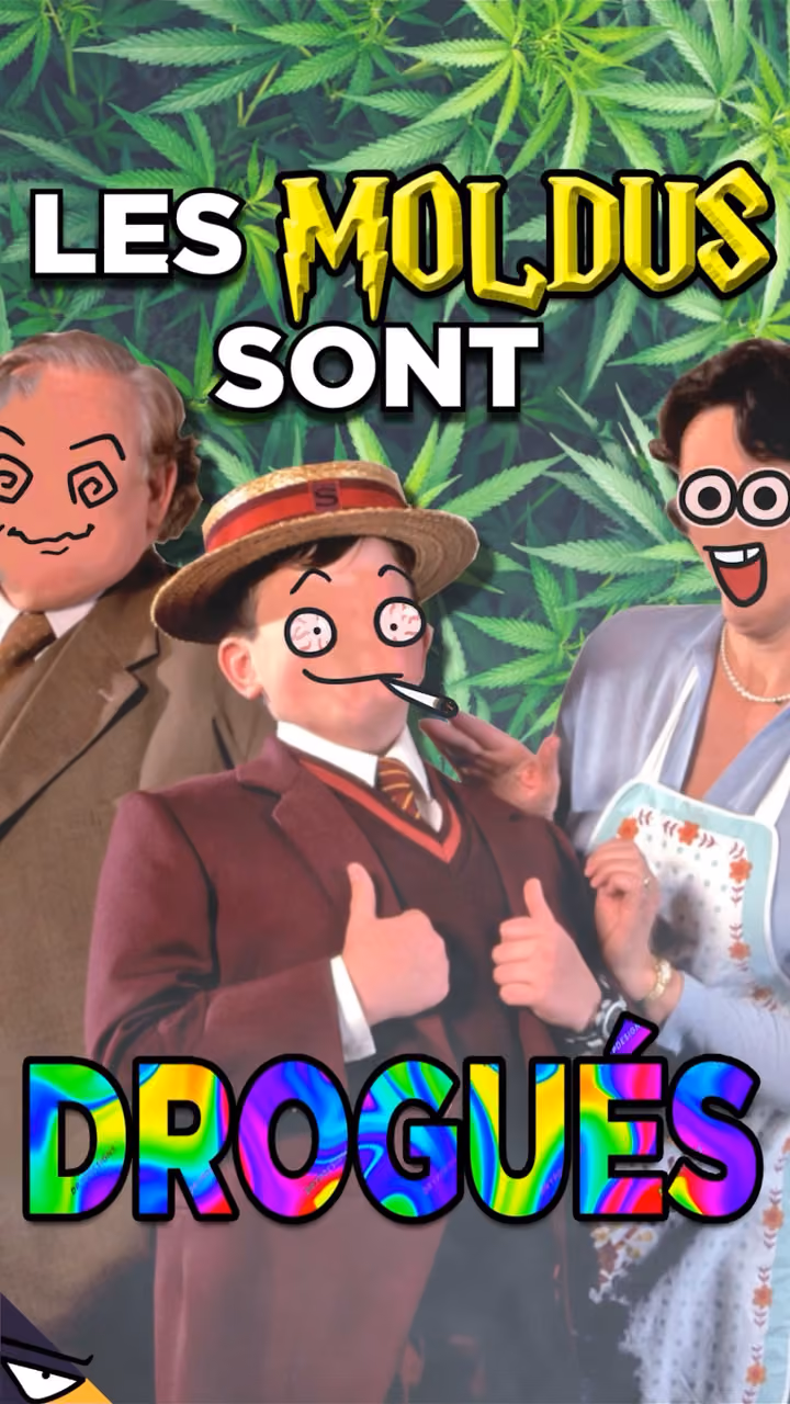 Les MOLDUS sont DROGUÉS