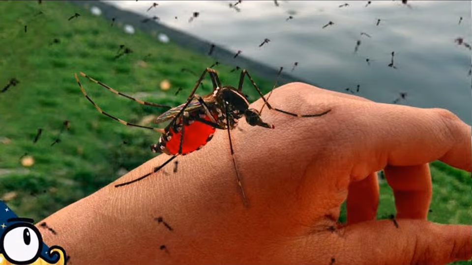 Et si on tuait tous les MOUSTIQUES sur Terre ?