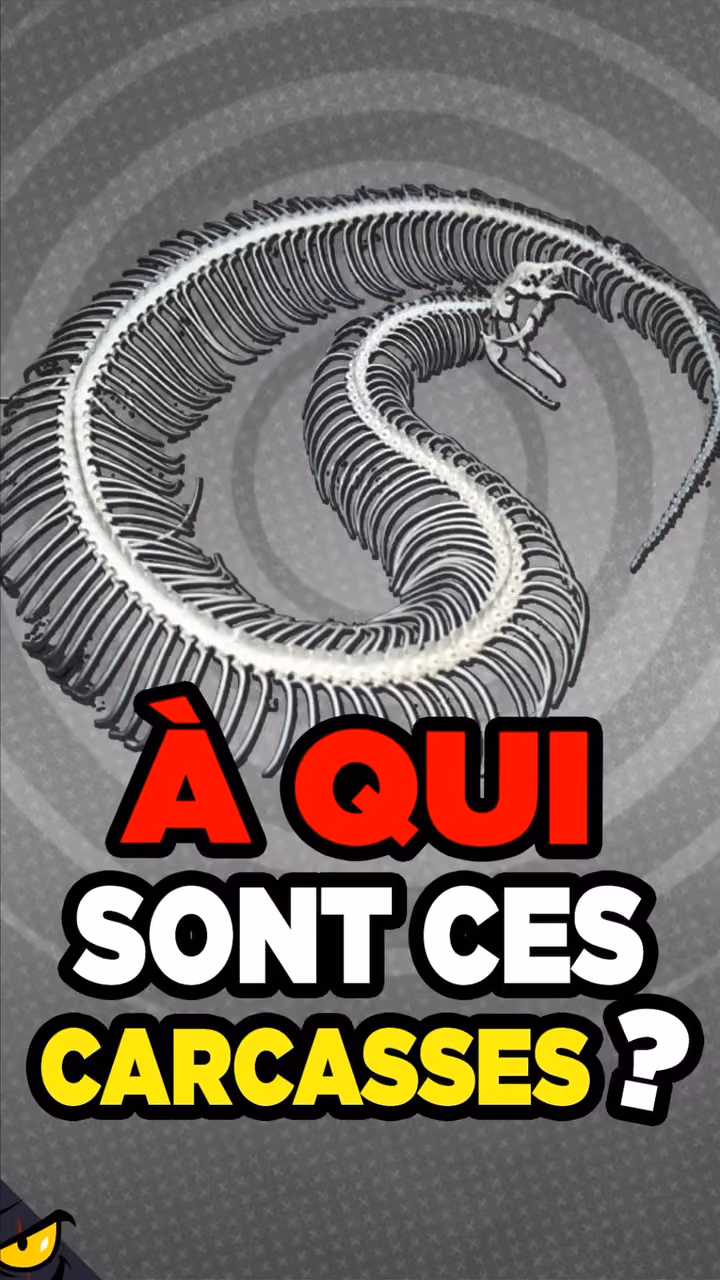 ON DÉCOUVRE des SQUELETTES de MONSTRES en AMÉRIQUE !?