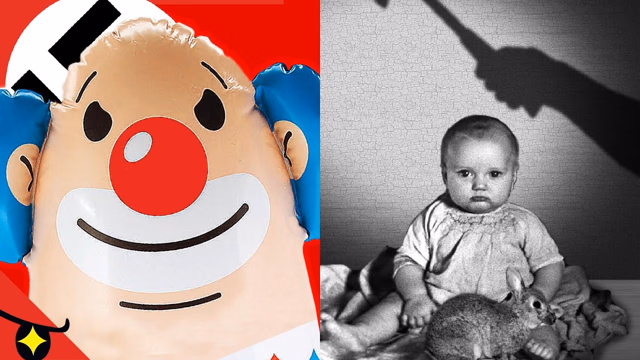 5 EXPERIENCES SOCIALES TERRIFIANTES sur les ENFANTS