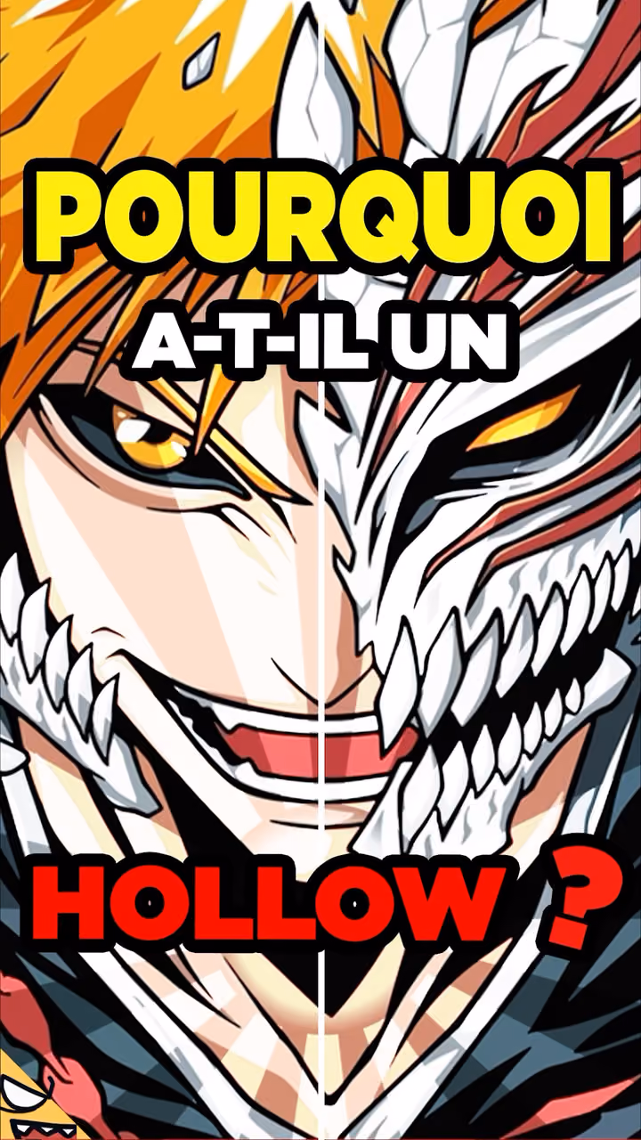 Pourquoi Ichigo a un Hollow !?