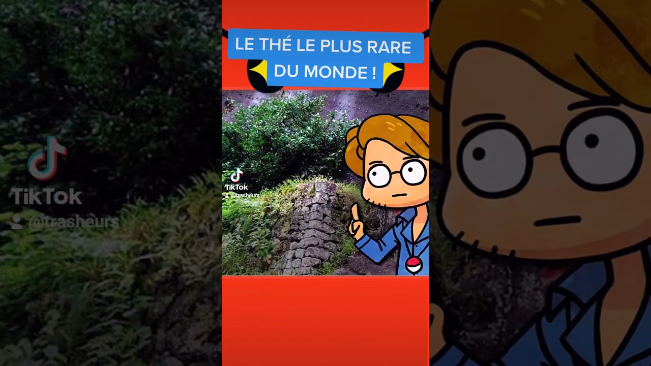 Le thé le plus rare du monde !