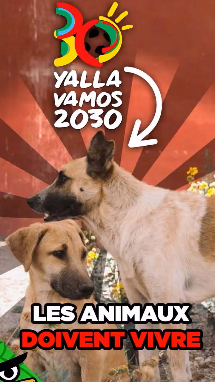 Le problème avec la Coupe du Monde 2030 au Maroc...